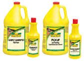Carpet Cleaners